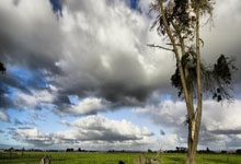 中国男足U18今晚直播哪里看？比赛亮点、阵容与前景全解析