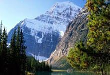 哪里能看乒乓球在线直播？乒乓球直播在线观看有哪些实用技巧？